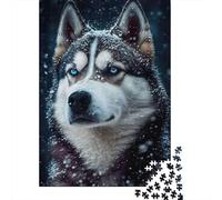 Retrato de Snowy Husky 1000 Piezas Cartón Grueso Rompecabezas Premium para Adultos Desafío Juego Educativo Decoración De Paredes Paquete De Valor 52x38cm/1000pcs