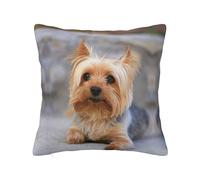 Retrato de una foto de Yorkshire Terrier Yorkie en miniatura, funda de almohada con cremallera oculta, funda de cojín de poliéster, funda de almohada decorativa con impresión de doble cara