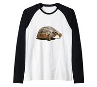 Retrato de una Tortuga Salvaje Joven Aislado Camiseta Manga Raglan