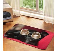 Retrato de una Vaca de Las Tierras Altas,Tapete Impermeable para Comida de Mascotas, manteles Individuales para Comida y Agua para Perros y Gatos, tapetes de Cuero sintético para Comida.,40x60cm