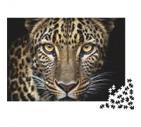 Retrato Primer Plano Leopardo Rompecabezas de 1000 Piezas para Adultos Mirada Feroz de Leopardo en Primer Plano Grueso Robusto Vibrante Desafiante Alivio de Estrés Juego 52x38cm/1000pzs