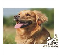 Retriever Dorado Puzzles Imposible,desafío para Adultos Outdoor Pradera Entretenimiento Creativo 1000 Piezas Obra De Arte De Juego De para Adultos Y Niños A Partir De 12 Años 1000pcs (75x50cm)