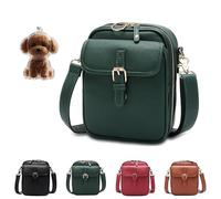 Retro Crossbody Leather Bag, 2025 Upgrade Double Layer Large Capacity Mini Messenger Bag, Anti-Theft Retro Design for Women (green)