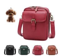 Retro Crossbody Leather Bag, 2025 Upgrade Double Layer Large Capacity Mini Messenger Bag, Anti-Theft Retro Design for Women (red)