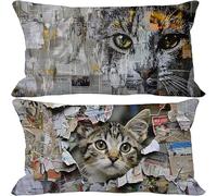 Retro Fundas Cojines 40x70 Juego de 2 Funda Cojin Gato Exterior Impermeables Suave Rectángulo Cushion Covers con Cremallera Oculta para Sala de Estar Sofa Hogar Jardín Banco Decoración Regalo -522p