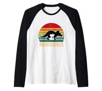 Retro Mamasaurus Divertido Dinosaurio T-Rex Día de la Madre Mamá Mamá Camiseta Manga Raglan