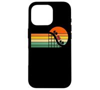 Retro Roller Coaster Ride At The Theme Park Matching Family Carcasa para iPhone 16 Pro