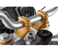 Retroceso de manillar Sw-motech BMW R Nine LEH.07.512.10000/GD