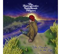 Retrospective Soundtrack - The Catcher In The Rye