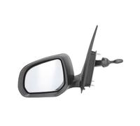 Espejo retrovisor exterior izquierda Ajuste por cable 5402-16-2002897P BLIC