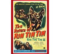 Return Of Rin Tin Tin [Edizione: Stati Uniti] [Italia] [DVD]