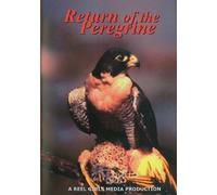 Return Of The Peregrine [Edizione: Stati Uniti] [Italia] [DVD]