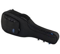 Reunion Blues Exp Small Body Acoustic Case