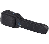 Reunion Blues RBX-2B Double Bass Guitar