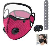 Reusable Carbon Filter Dust Mask with Eye Protection, Respirator Mask with Filters, Safety Goggles, 10 Replaceable Filters, Adjustable Face Mask for Mowing Sanding Painting Woodworking (Rose Red)