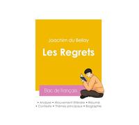 Réussir son Bac de français 2026 : Analyse du recueil Les Regrets de Joachim du Bellay