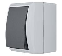REV AquaForm, botón - interruptor de luz, cuarto húmedo IP44, montaje en superficie, gris