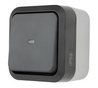 REV - AquaStorm, interruptor de control, zona húmeda IP55, unipolo, montaje en superficie, 230 V, 10 A, antracita