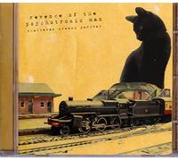 Revenge Of The Psychotronic Man - Shattered Dreams Parkway