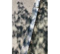 Reveries of the Circling Householder