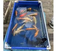 Revestimiento de PVC para estanque de peces con ventana y marco de acero inoxidable, fácil montaje para jardín acuático al aire libre, perfecto para piscicultura, 140 x 70 x 61 cm