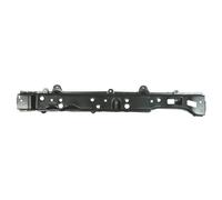 Revestimiento frontal BLIC 6502-03-0552231P