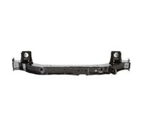 Revestimiento frontal BLIC 6502-03-3750231P