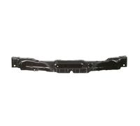 Revestimiento frontal BLIC 6502-08-2999201P