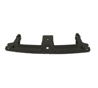 Revestimiento frontal - piezas BLIC 6502-03-0041209P