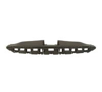 Revestimiento frontal - piezas BLIC 6502-03-3172209P