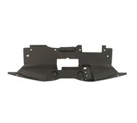Revestimiento frontal - piezas BLIC 6502-03-6066209P