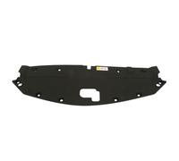 Revestimiento frontal - piezas BLIC 6502-03-8166209P