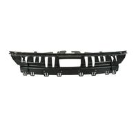 Revestimiento frontal - piezas BLIC 6502-07-2596999P