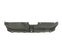 Revestimiento frontal - piezas BLIC 6508-05-0038240P