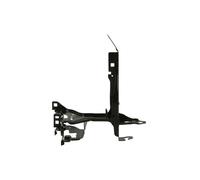 Revestimiento frontal - piezas BLIC 6508-05-0064242P