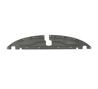 Revestimiento frontal - piezas BLIC 6508-05-0941279P