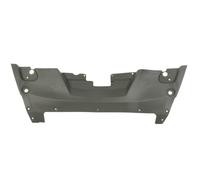 Revestimiento frontal - piezas BLIC 6508-05-3206247P