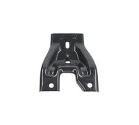 Revestimiento frontal - piezas BLIC 6508-05-9535263P