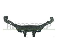 Revestimiento Frontal Prasco FT3403201 para Fiat