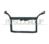 Revestimiento Frontal Prasco TY3203210 para Toyota