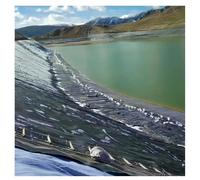 Revestimiento Protector para estanques, revestimientos Flexibles para estanques, revestimientos prefabricados para estanques de Exterior con Peces koi, Membrana Grande para estanques de 3 mm