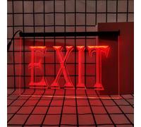 REWIS Letreros de neón LED de Salida, Luces de neón Coloridas Que fluyen con atenuación Bluetooth alimentadas por USB, para decoración Luminosa Colgante de Pared de Salida de Emergencia,30x20cm