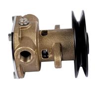 REwNXA Reemplazo de la Bomba de Agua cruda de refrigeración del Motor para el número de Pieza GM104855 GM46936 Compatible con Piezas Marinas GM46936 G910P JPR-KL10IP