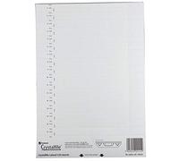 Rexel 70676 - Carpetas colgantes, polipropileno