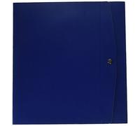 Rexel Caja de Proyectos Lomo 8cm - Organizador de almacenaje (260 mm, 8 cm, 36 cm, 320 mm, 8 mm), Azul