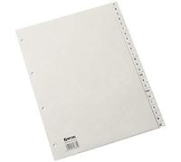 Rexel HETZEL Kunststoff-Register, A-Z, A4, PP, 24-teilig, grau