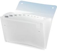 Rexel Ice - Carpeta clasificadora para documentos DIN A4 con 13 compartimentos, transparente