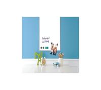 Rexel - Pack - Pizarra magnética 585x430mm + Accesorios