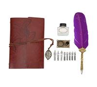 REXVTNS Retro Plume Pen Set | Clear Texture Stainless Steel Engraved Nib | Calligraphy Writing Present for Christmas/Holiday Season/Birthday | 8 Nibs, 75 - Page Notebook Included