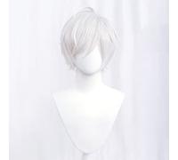 REYHS Anime Wig Near Cosplay Wig For Death Note, Short Silver Wig, Disfraz Halloween Wig, para Halloween, fiesta de disfraces, espectáculo de anime, evento de cosplay, conciertos, peluca diaria